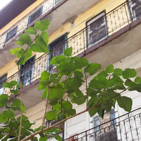 Peaceful Flat By The City Park And The Arena *